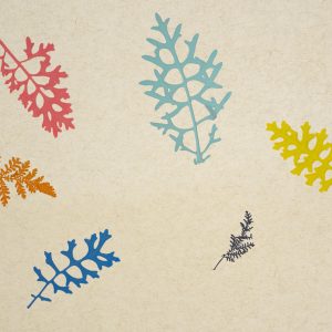 FARBKLECKS-COLOUR-SPLASH_Organoid-Natural-Surfaces-1920px-web