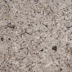 MOOS-GRAU_sample148x185mm_Organoid-Natural-Surfaces_web1920x1280px2