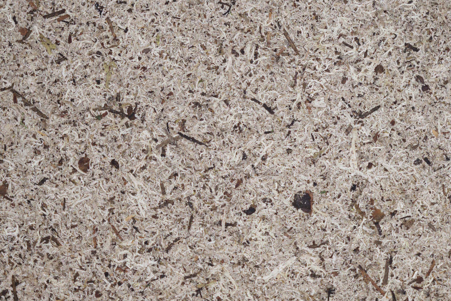 MOOS-GRAU_sample148x185mm_Organoid-Natural-Surfaces_web1920x1280px2