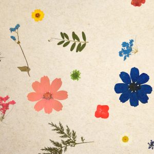 SUPERBLOOM_Organoid-Natural-Surfaces-1920px-web