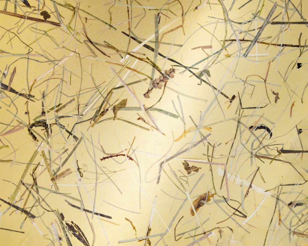 Close-up of scattered dried grass and plant fragments on a yellow background