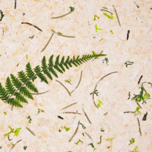 ZIRBENWALD_sample_148x185mm_websize_Organoid-Natural-Surfaces_web1920x1280px