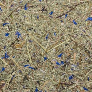 Wildspitze Himmelblau