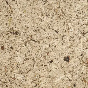 Mikroskopaufnahme von zerkleinertem Moos mit kleinen Spänen und Fasern
