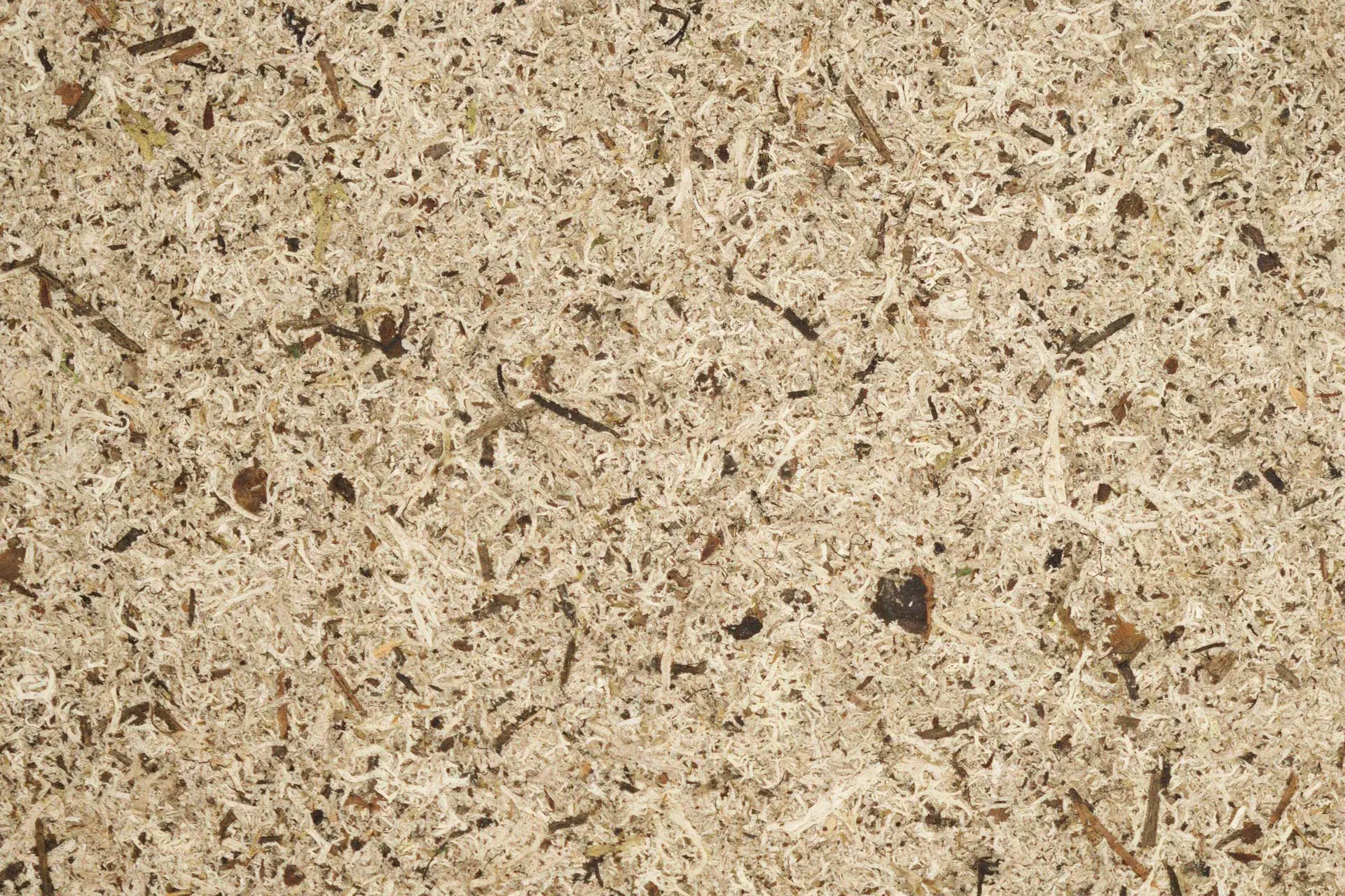 Mikroskopaufnahme von zerkleinertem Moos mit kleinen Spänen und Fasern