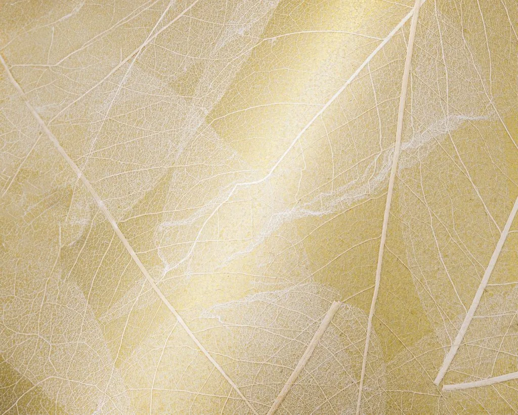 SKELETTBLATTLA-on-golden-Pape_sample-148x185mm_neu_Organoid-Natural-Surfaces_web-1920px-2048x1638