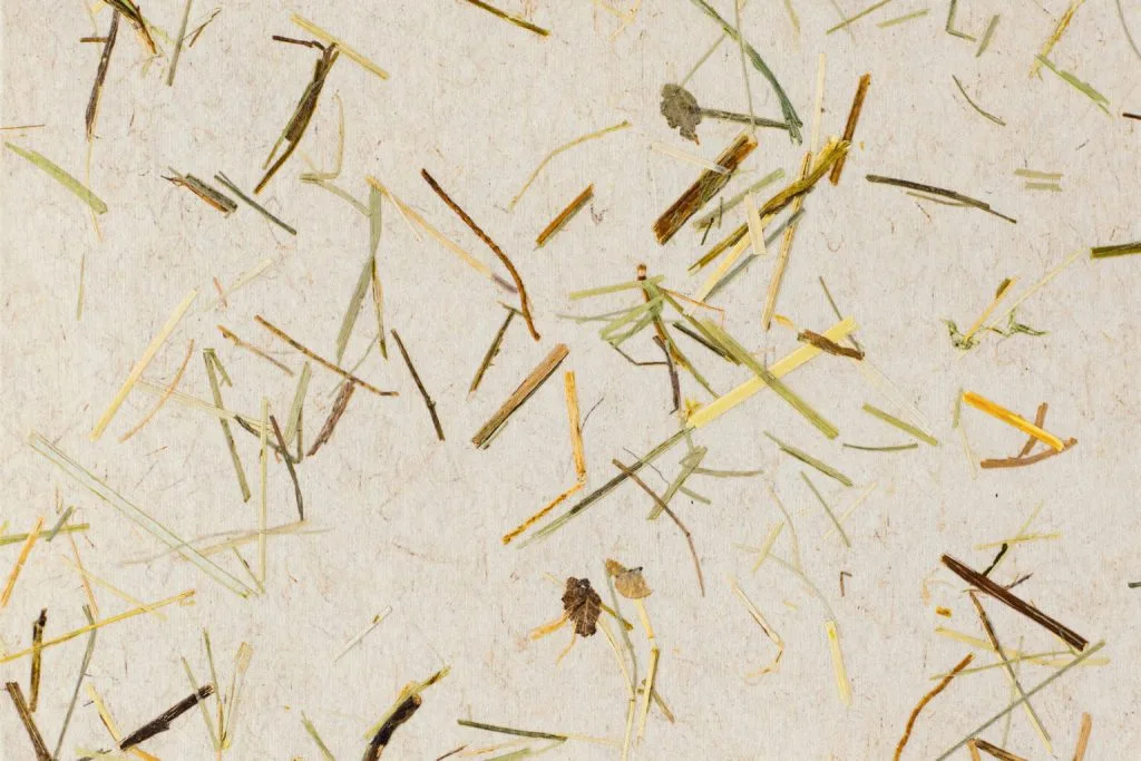 Dried grass and plant fragments scattered on a beige background