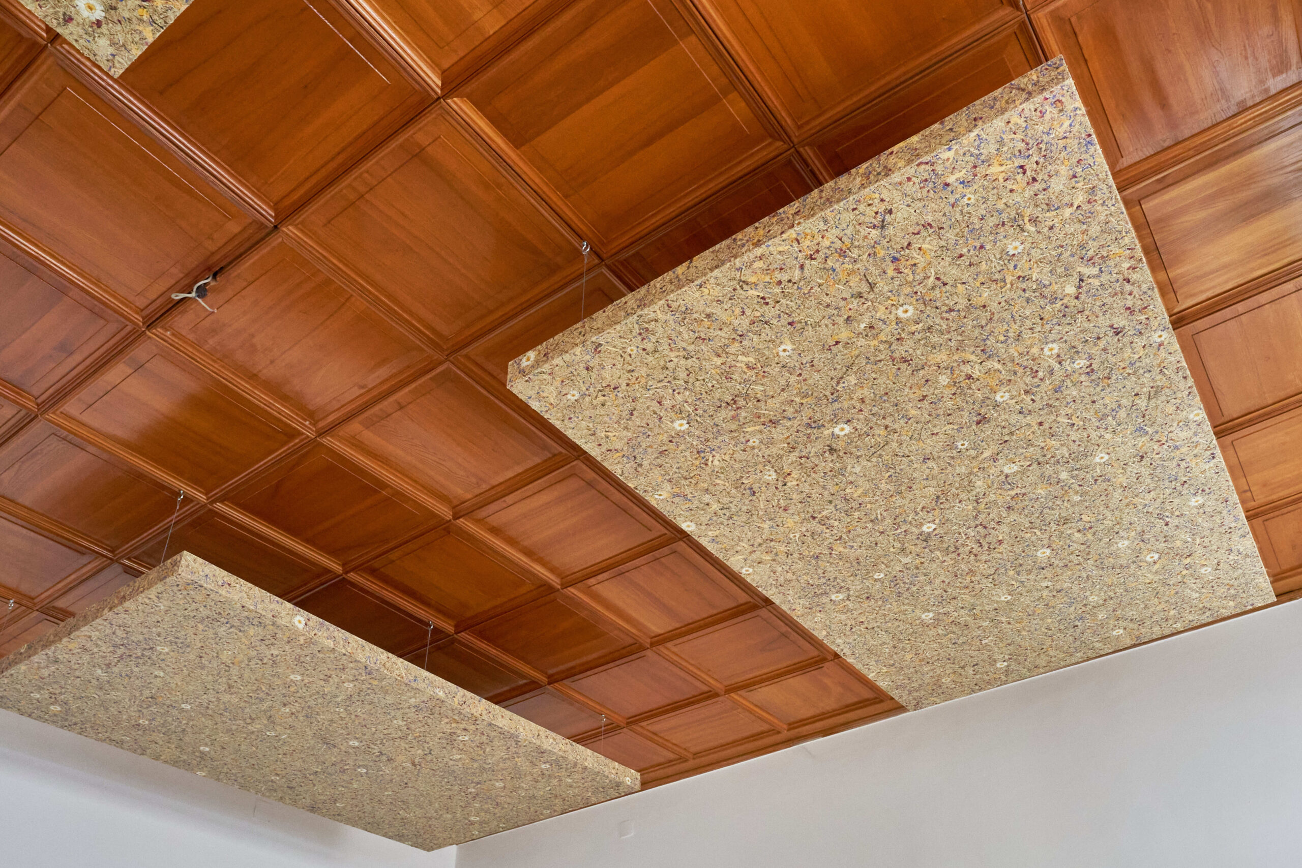 Decke mit Holzpaneelen und Akustikplatten, weiße Wand mit Fischkunst, Woody Raum akustik