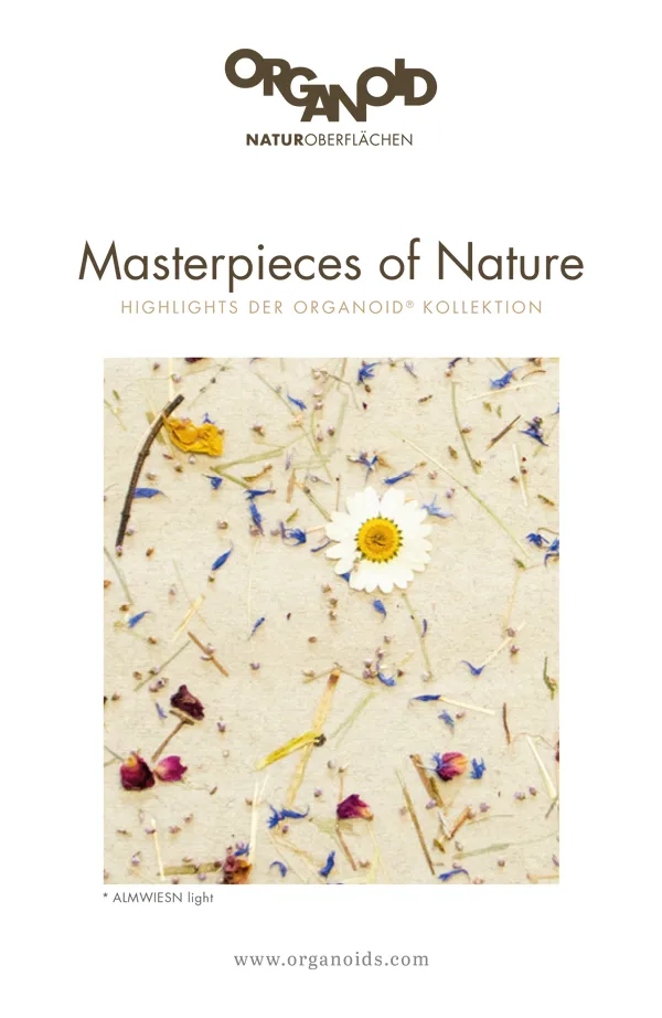 Blumen und Blütenblätter sind auf einer hellen Oberfläche verteilt, mit einer einzelnen weißen ...