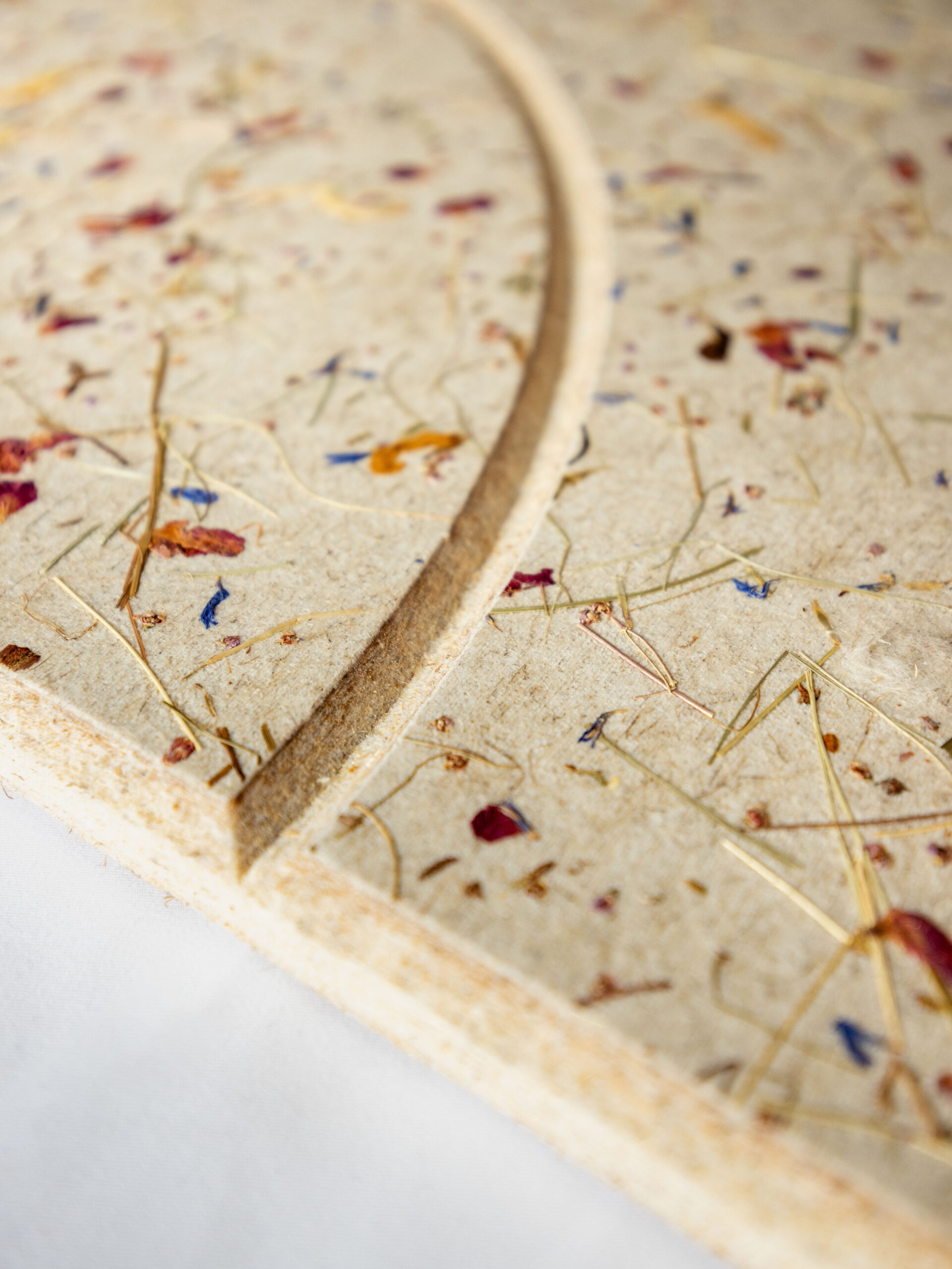 Getrockneter Blätter- und Blumenstaub auf einer gepressten Papieroberfläche