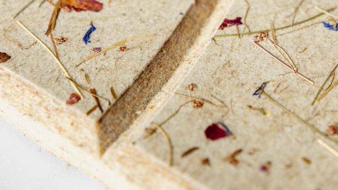 Makroaufnahme eines organischen Materials mit getrockneten Blüten- und Pflanzenresten auf einer...