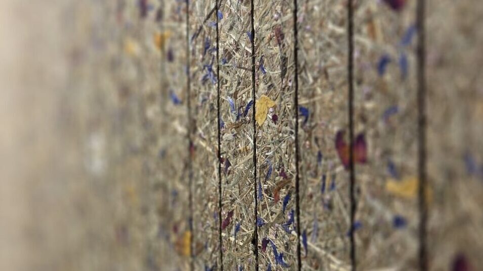 Nahaufnahme von getrockneten Blättern und Blumen in einem vertikalen Gitterrahmen