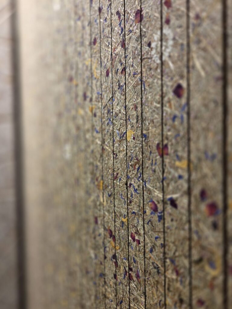 Fasertapete mit bunten, getrockneten Blumen und Pflanzen auf einer Wand