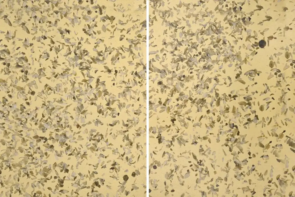 Vergleich zweier Gewebeproben auf gelbem Hintergrund, links mit mehr Zellen, rechts weniger