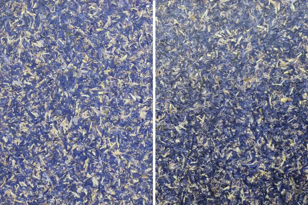 Vergleich zweier Zellkulturen mit blauen und weißen Zellfragmenten, getrennt durch eine Linie