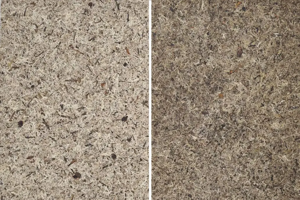 Vergleich zweier Bodenproben mit unterschiedlicher Textur und Farbintensität