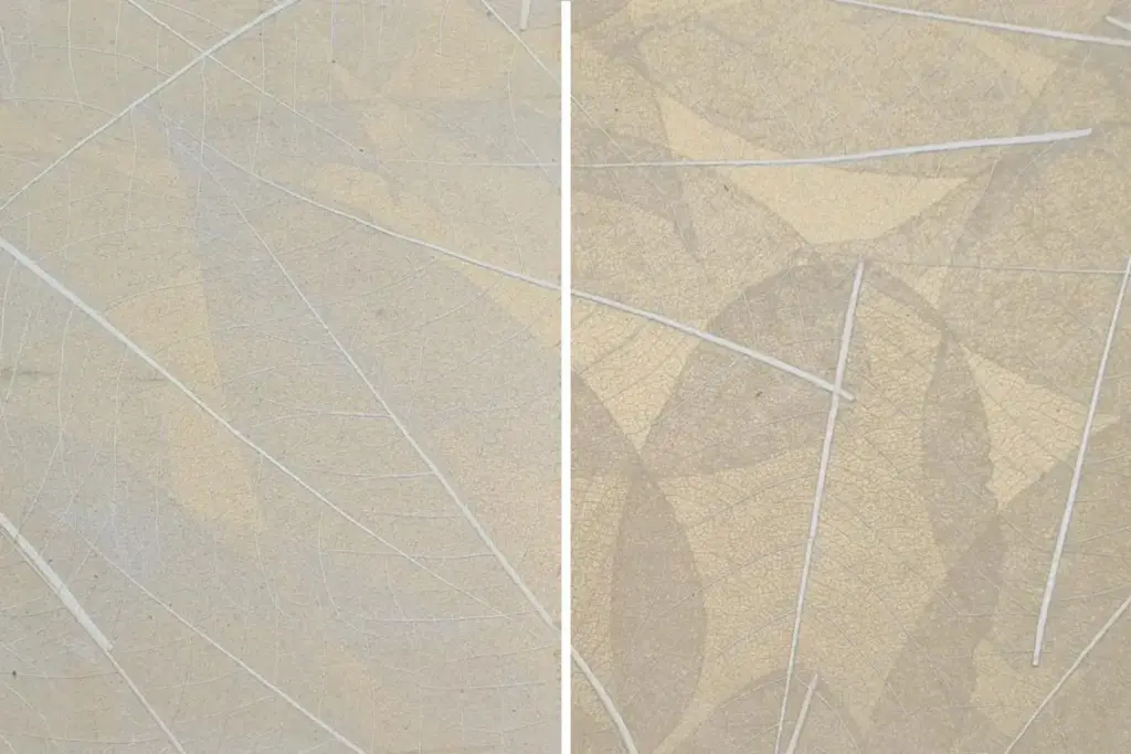 Zwei getrocknete Blätter mit sichtbaren Blattadern auf einer hellen Oberfläche