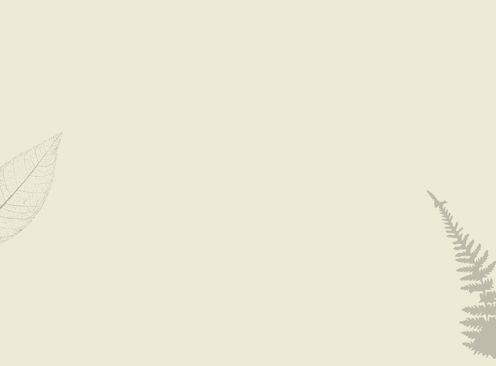 Light beige background with faint gray botanical illustrations of leaves and ferns in corners