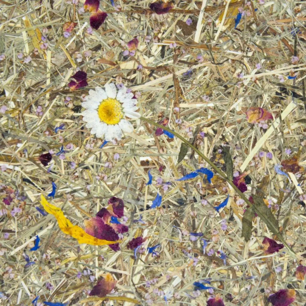 Blumen und Blüten auf trockenem Gras und Stroh, mit blauen und gelben Farbtupfern