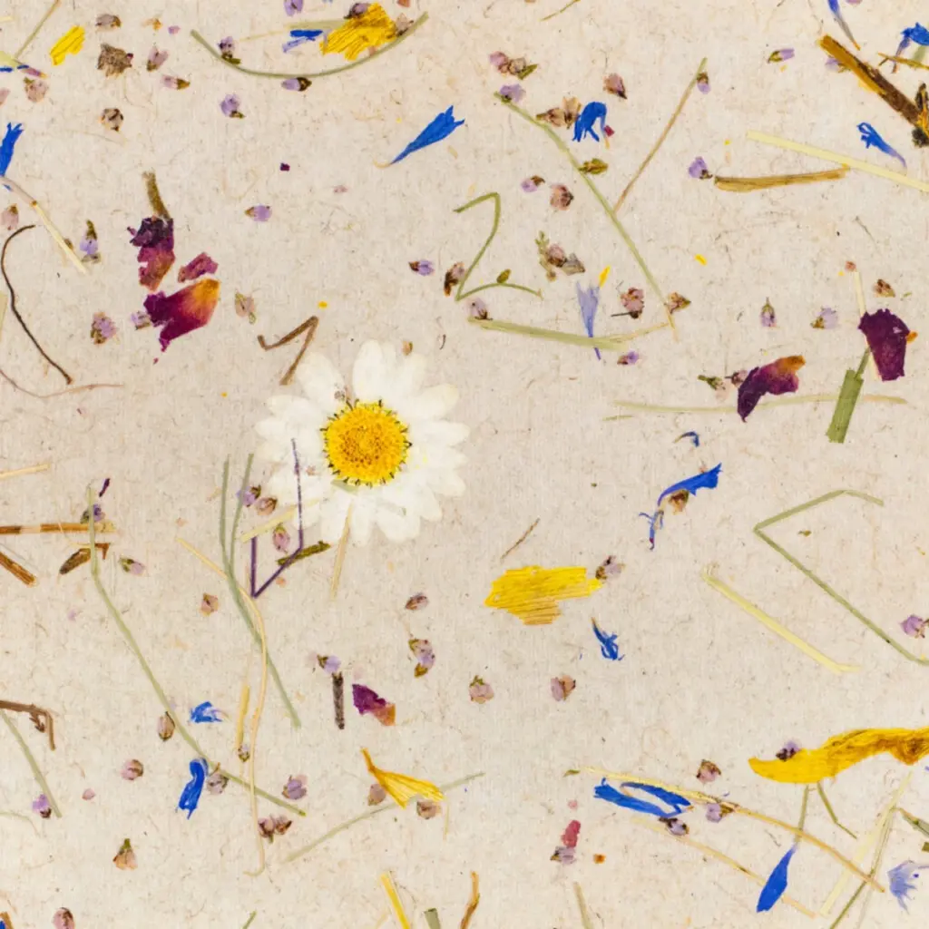 Blumen- und Blütenreste auf braunem Papier, mit einer einzelnen weißen Blume in der Mitte