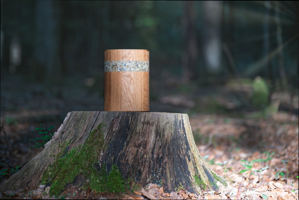 A wooden stump with moss and a cut surface in a forest setting