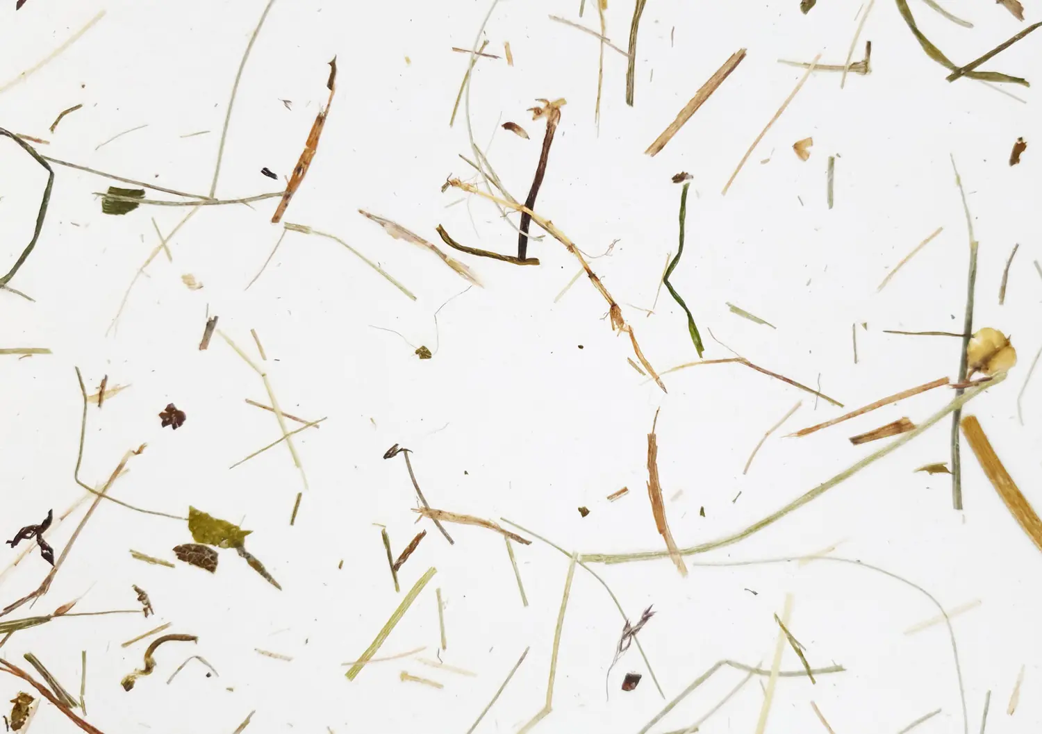 Almheu schwer entflammbar – ORGANOID Naturoberflächen