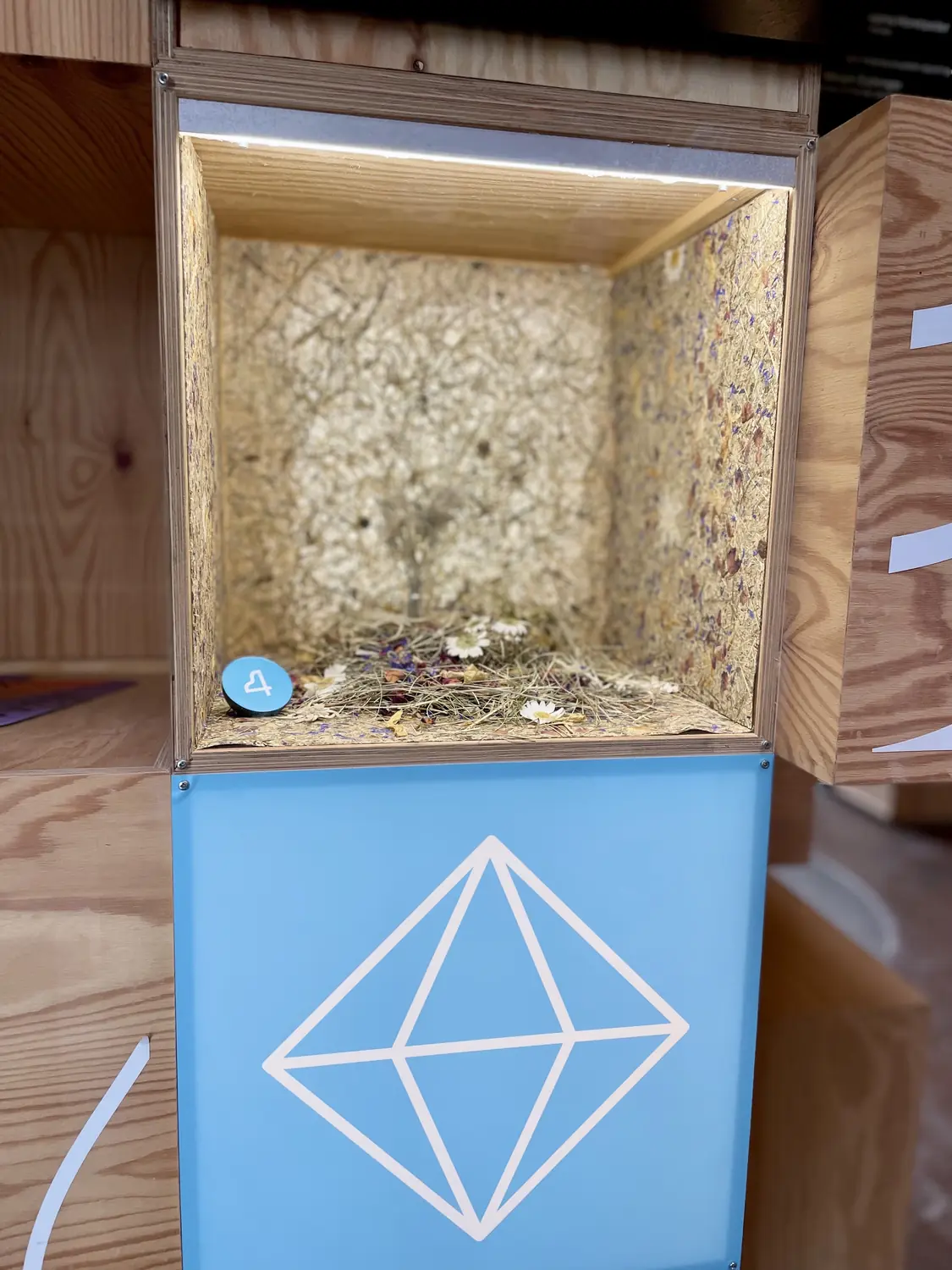 Diese 3 Erlebnisse auf der Expo Dubai verändern deine Sicht auf nachhaltige Architektur – ORGANOID Naturoberflächen