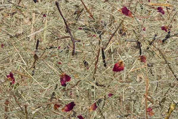 Heimtextil 2018 in Frankfurt – ORGANOID Naturoberflächen
