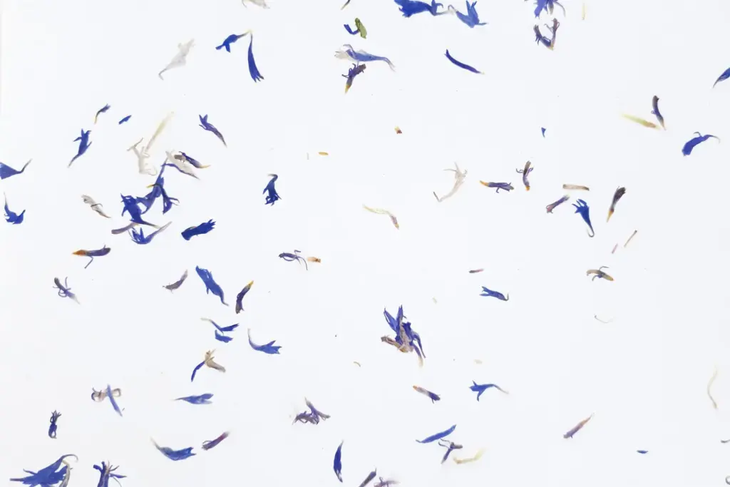 Cornflower light on white ecofleece – ORGANOID natural wallpaper, close-up of the surface texture