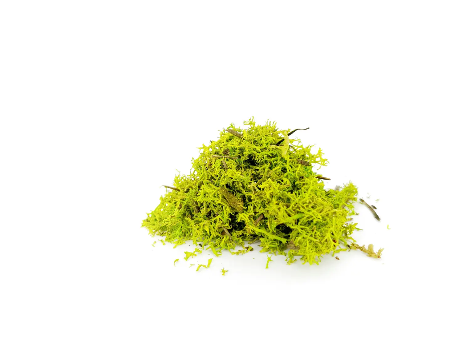Raw material of the ORGANOID natural wallpaper Moss light: Colourful light green moss