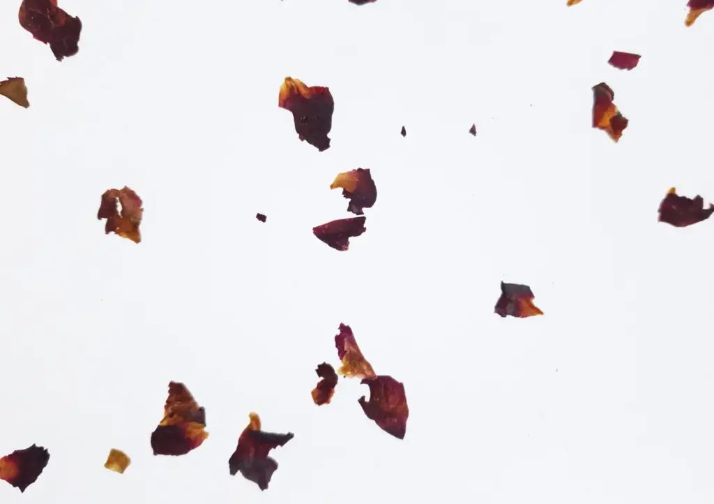 Rose Petals light on white ecofleece – ORGANOID natural wallpaper, close-up of the surface texture