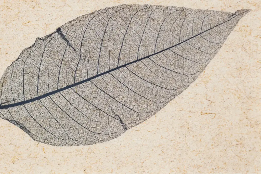 Skeleton Leaves Grey light on flax fleece – ORGANOID natural wallpaper, close-up of the surface texture