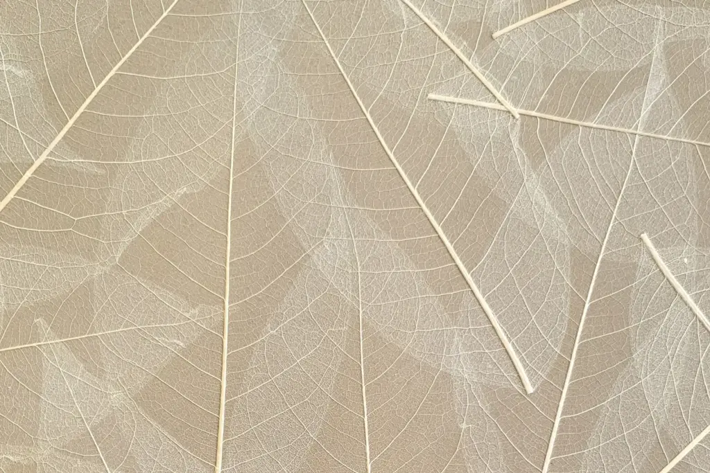 Skeleton Leaves on HPL – ORGANOID natural wallpaper, close-up of the surface texture