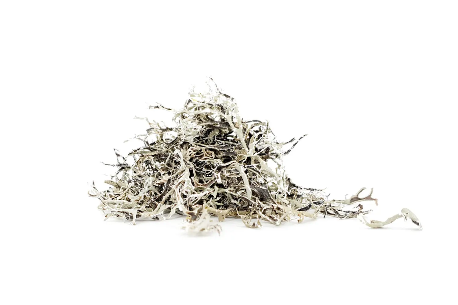Raw material of the ORGANOID natural wallpaper Tree Lichen: Primal lichen