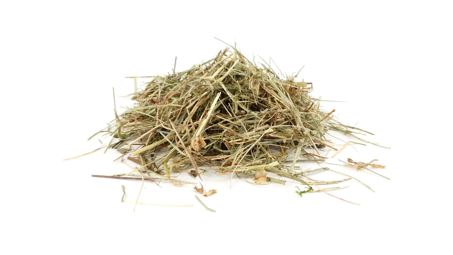 Raw material of the ORGANOID natural wallpaper Wildspitze medium: Fragrant Alpine hay