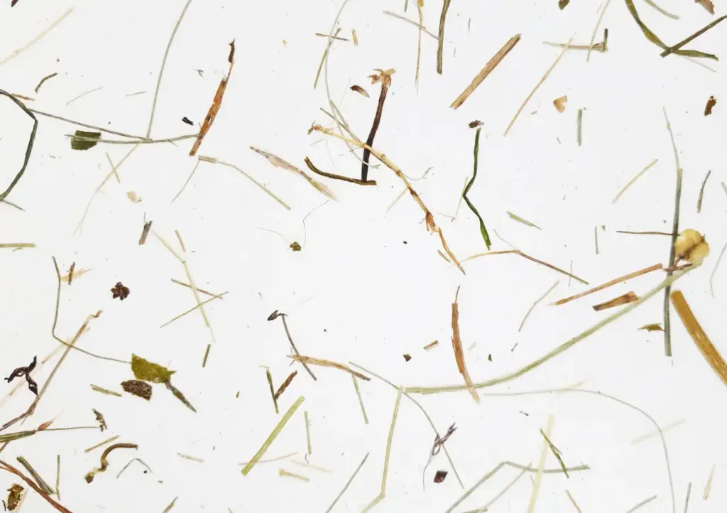 Wildspitze light auf Ecovlies weiß – ORGANOID Naturtapete, Nahaufnahme der Oberflächenstruktur