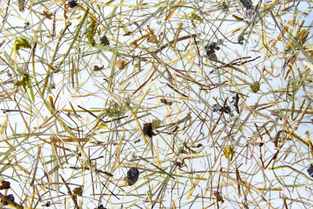 Wildspitze medium auf Klebefolie (lichtdurchlässig) – ORGANOID Naturtapete, Nahaufnahme der Oberflächenstruktur