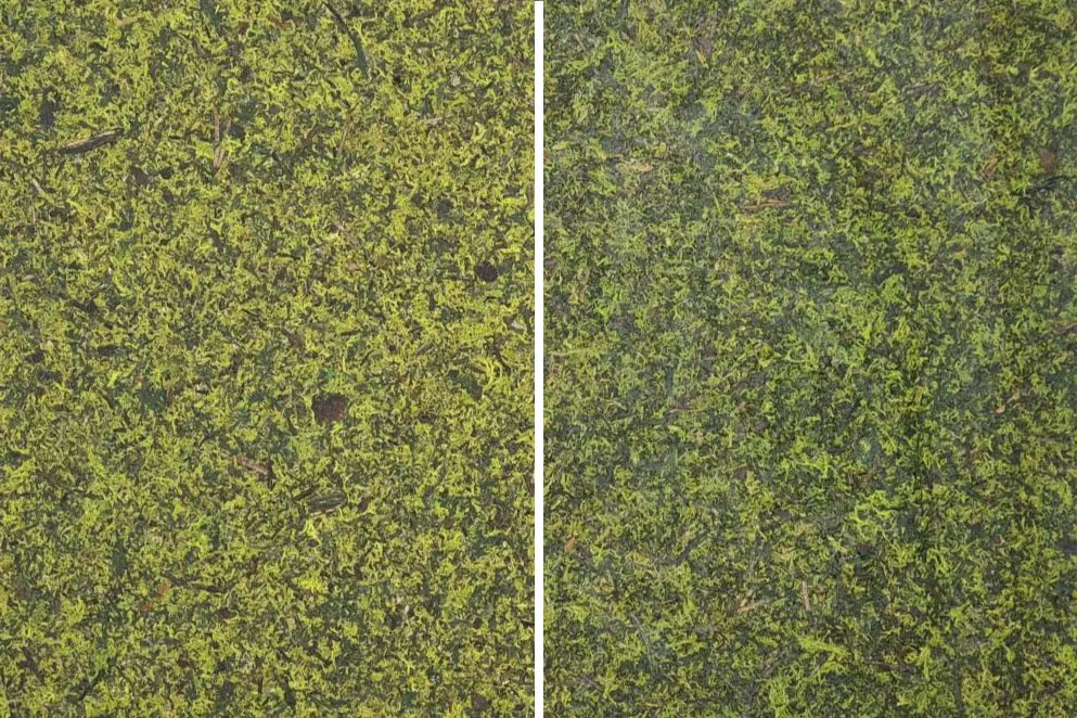 Oberflächenversiegelung – Empfehlung zur nachträglichen Anwendung – ORGANOID Naturoberflächen
