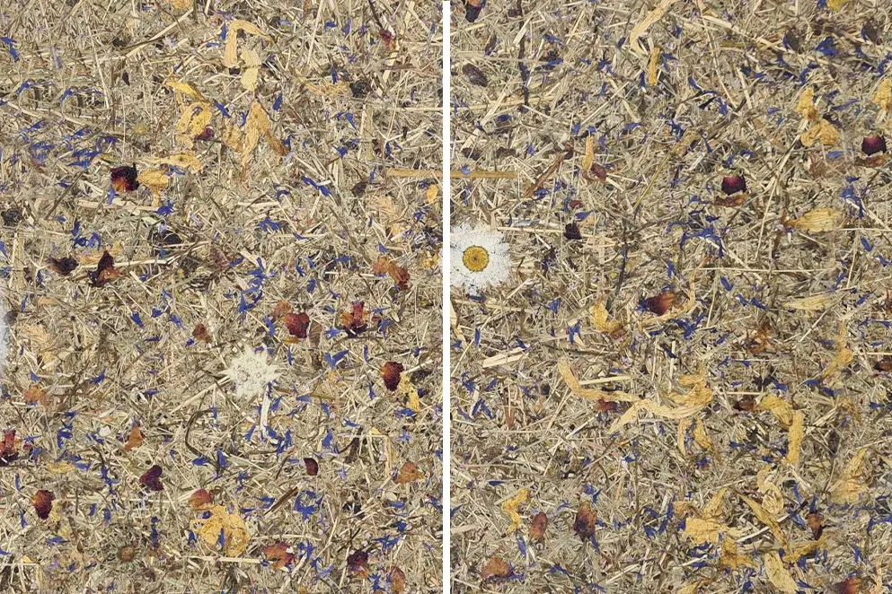 Oberflächenversiegelung – Empfehlung zur nachträglichen Anwendung – ORGANOID Naturoberflächen