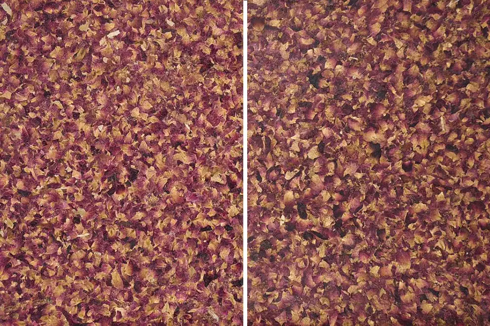 Oberflächenversiegelung – Empfehlung zur nachträglichen Anwendung – ORGANOID Naturoberflächen