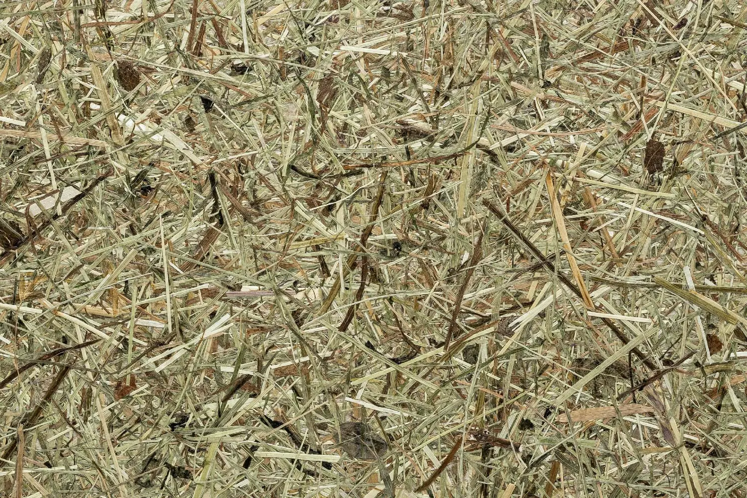 SHI-Produktpass: Gesund und nachhaltig Einrichten beginnt hier – ORGANOID Naturoberflächen