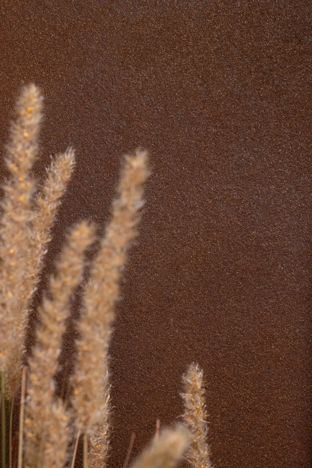 © CARMEL Business, Showroom Israel – ORGANOID Naturoberflächen