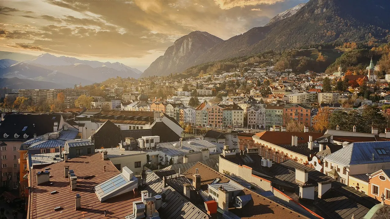 ORGANOID Vertriebsbüro in Innsbruck, Tirol