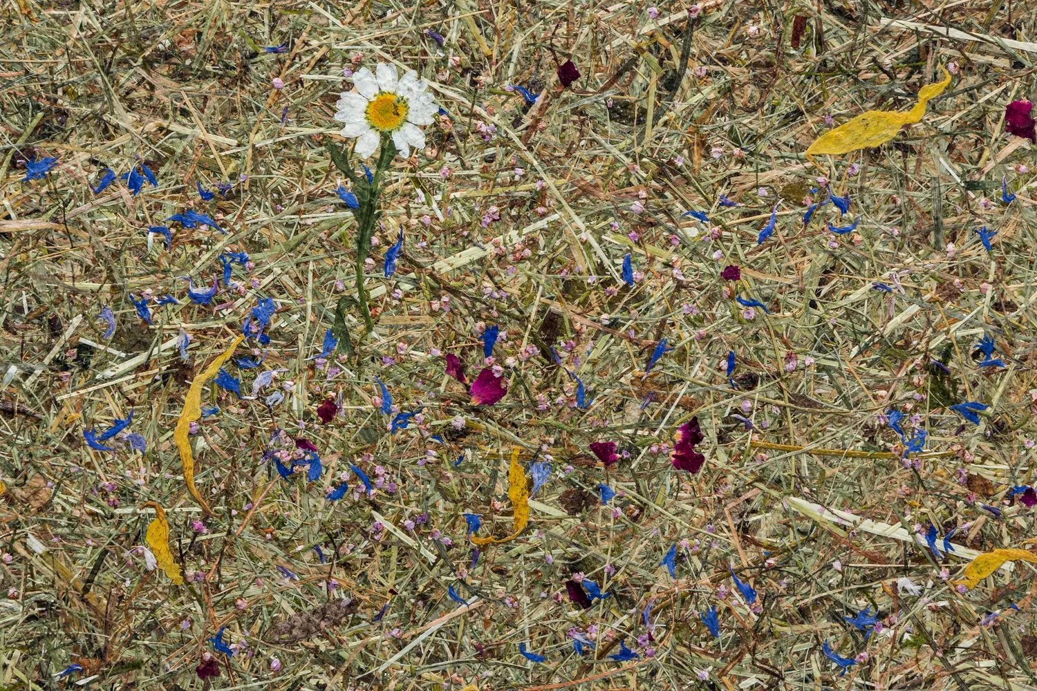 Wie verbessere ich meine Raumakustik? – ORGANOID Naturoberflächen