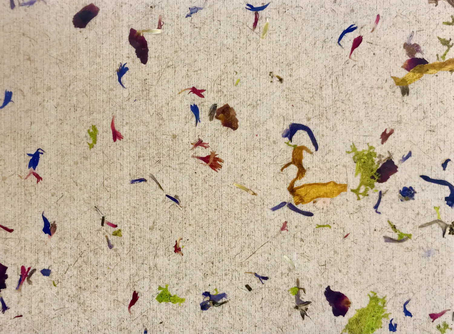 Wie verbessere ich meine Raumakustik? – ORGANOID Naturoberflächen
