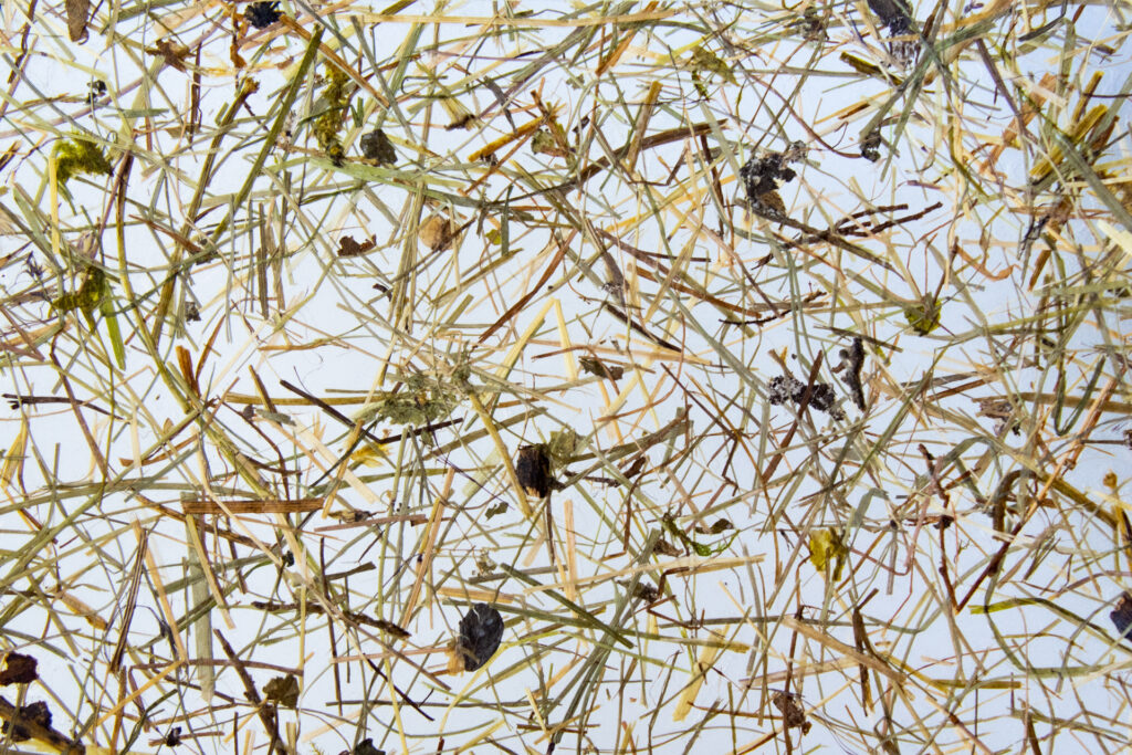 WILDSPITZE medium - Self-adhesive translucent
