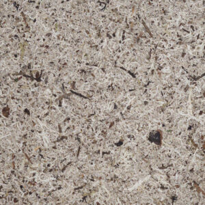 MOSS GREY