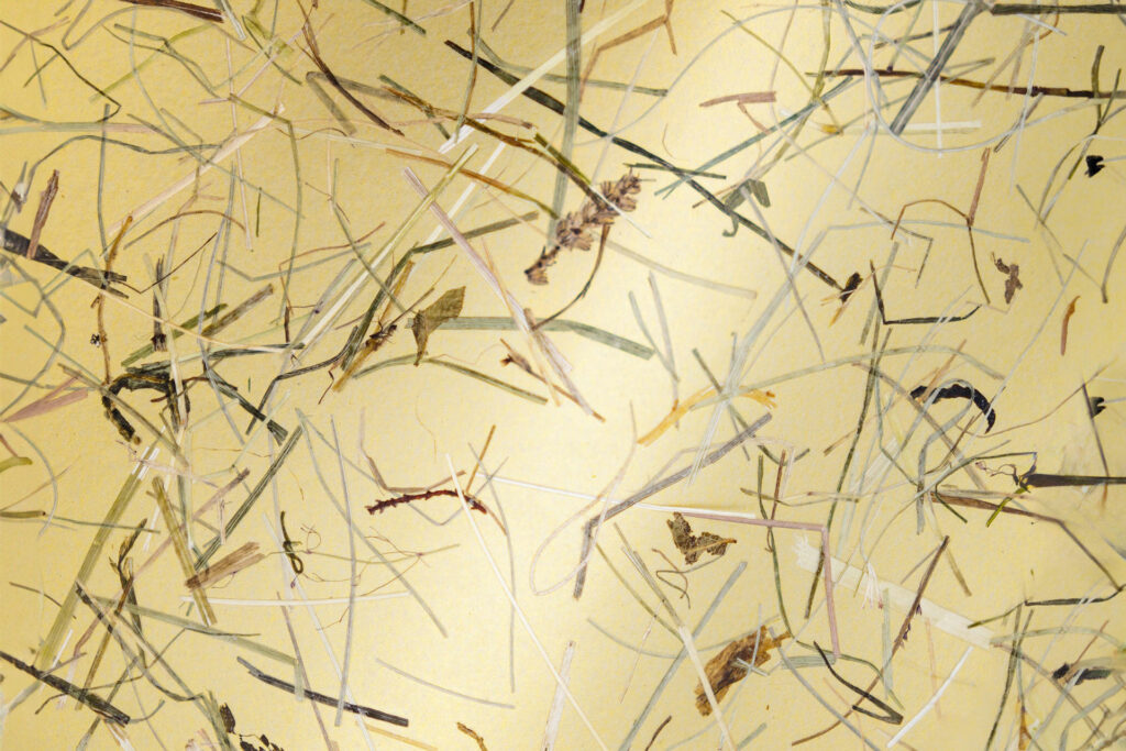Wildspitze Gold – on golden paper