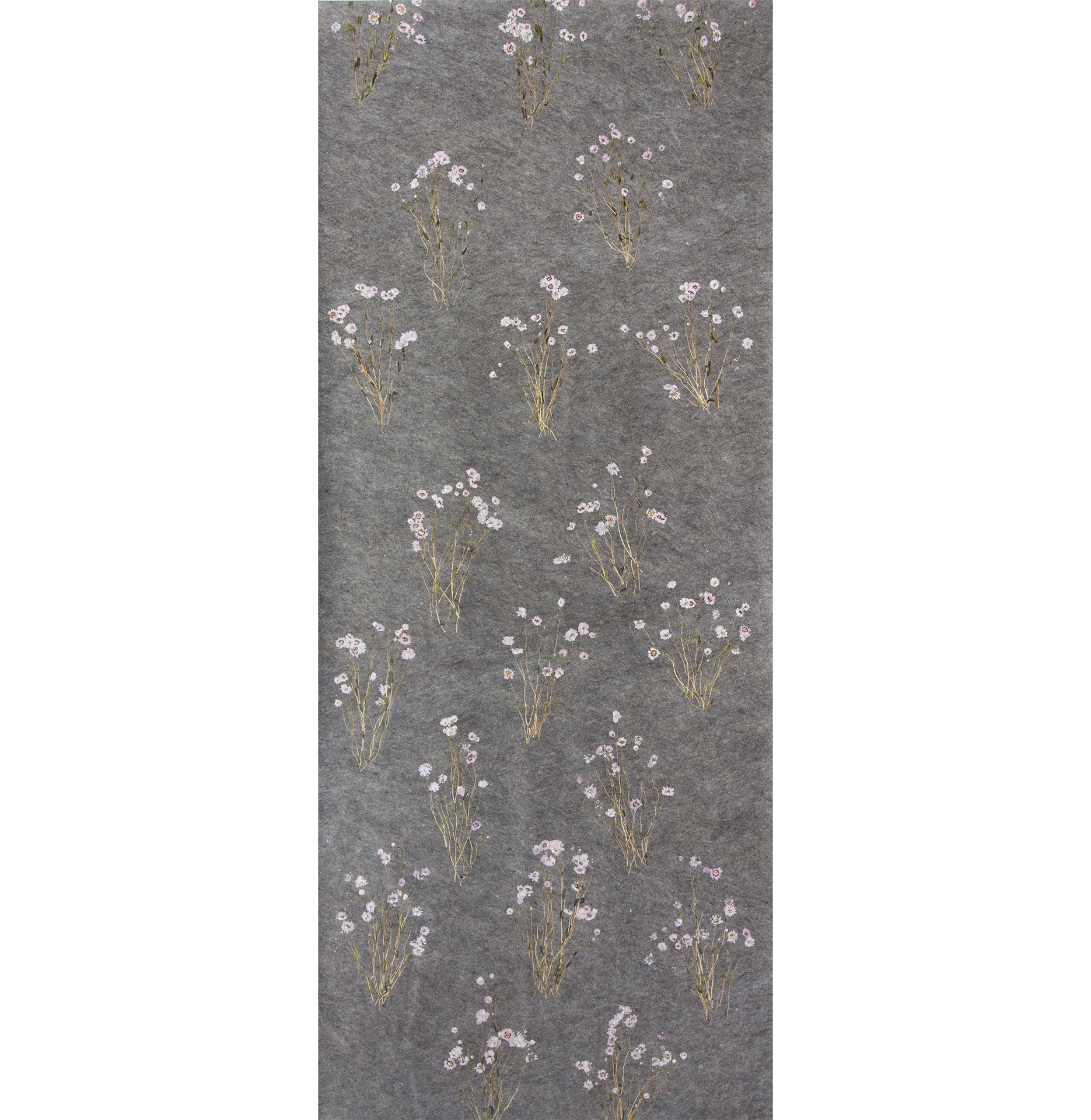 ROSY EVERLASTING - on flax backing