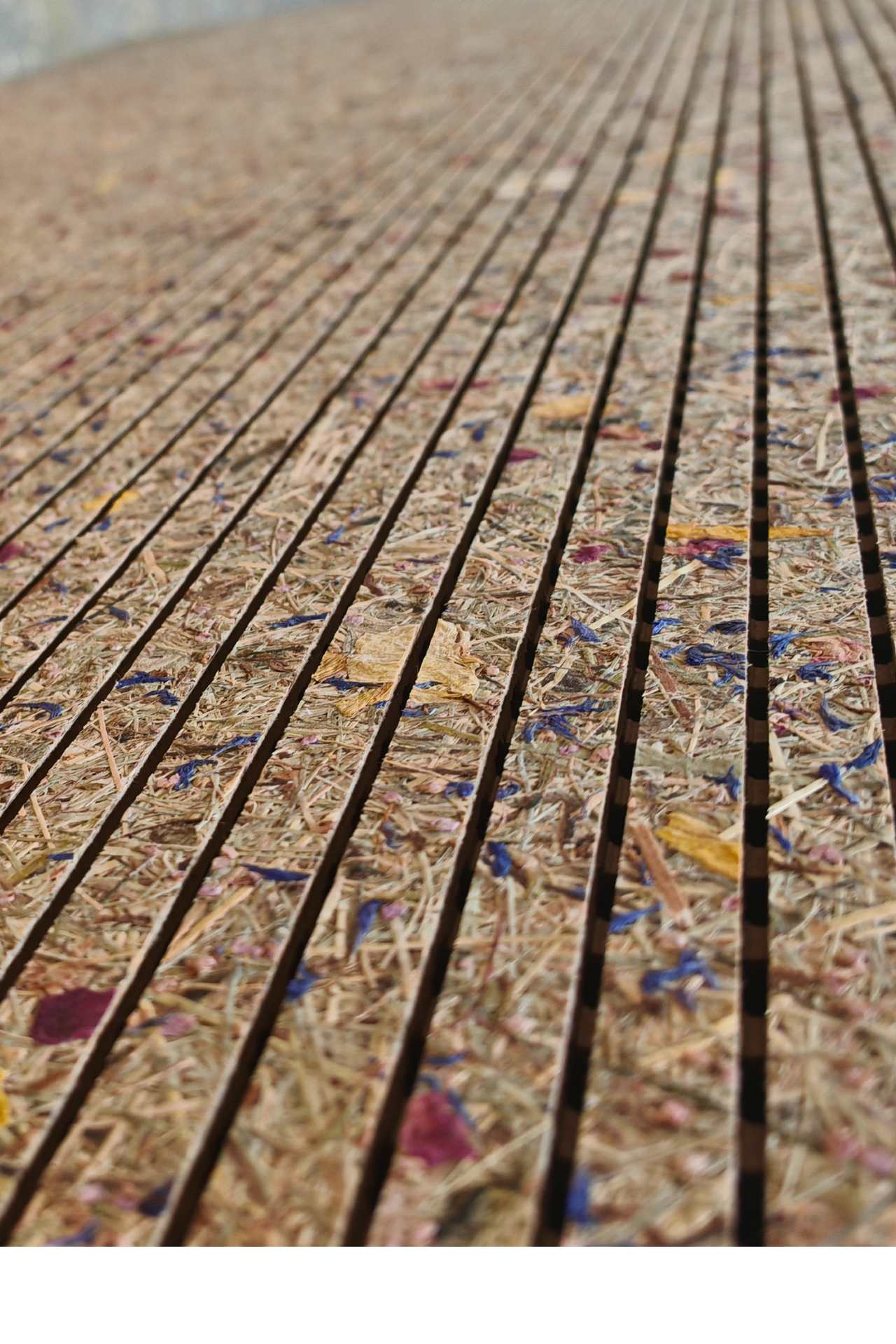 Infinity Panel - ALPINE MEADOW